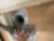 노원입주청소 검증된 곳은 이렇게 진행합니다 35